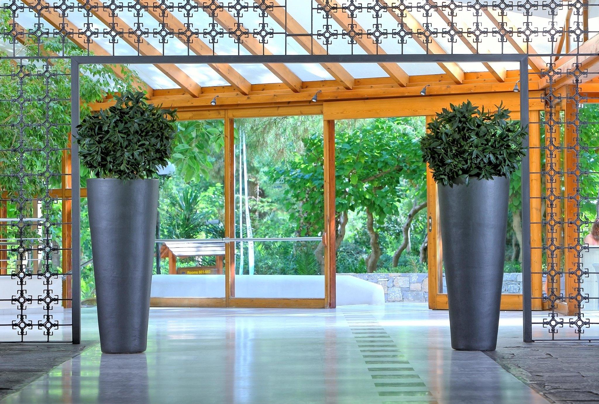 Apollonia & Resort Amoudara Lasithiou